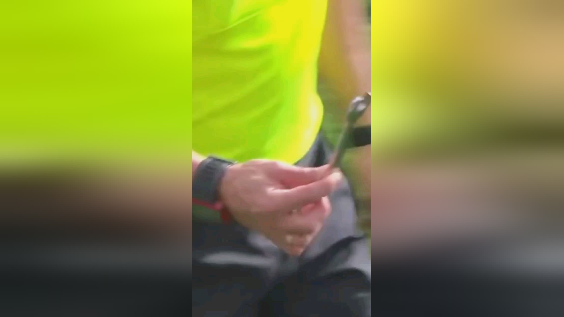着什